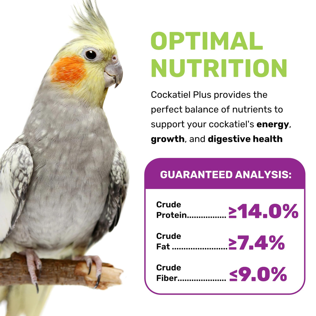 Serving bowl of Cockatiel Plus for easy daily portions and balance