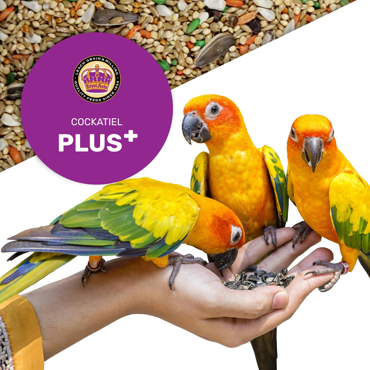 Vitamin-enriched Cockatiel Plus mix supporting energy and vitality