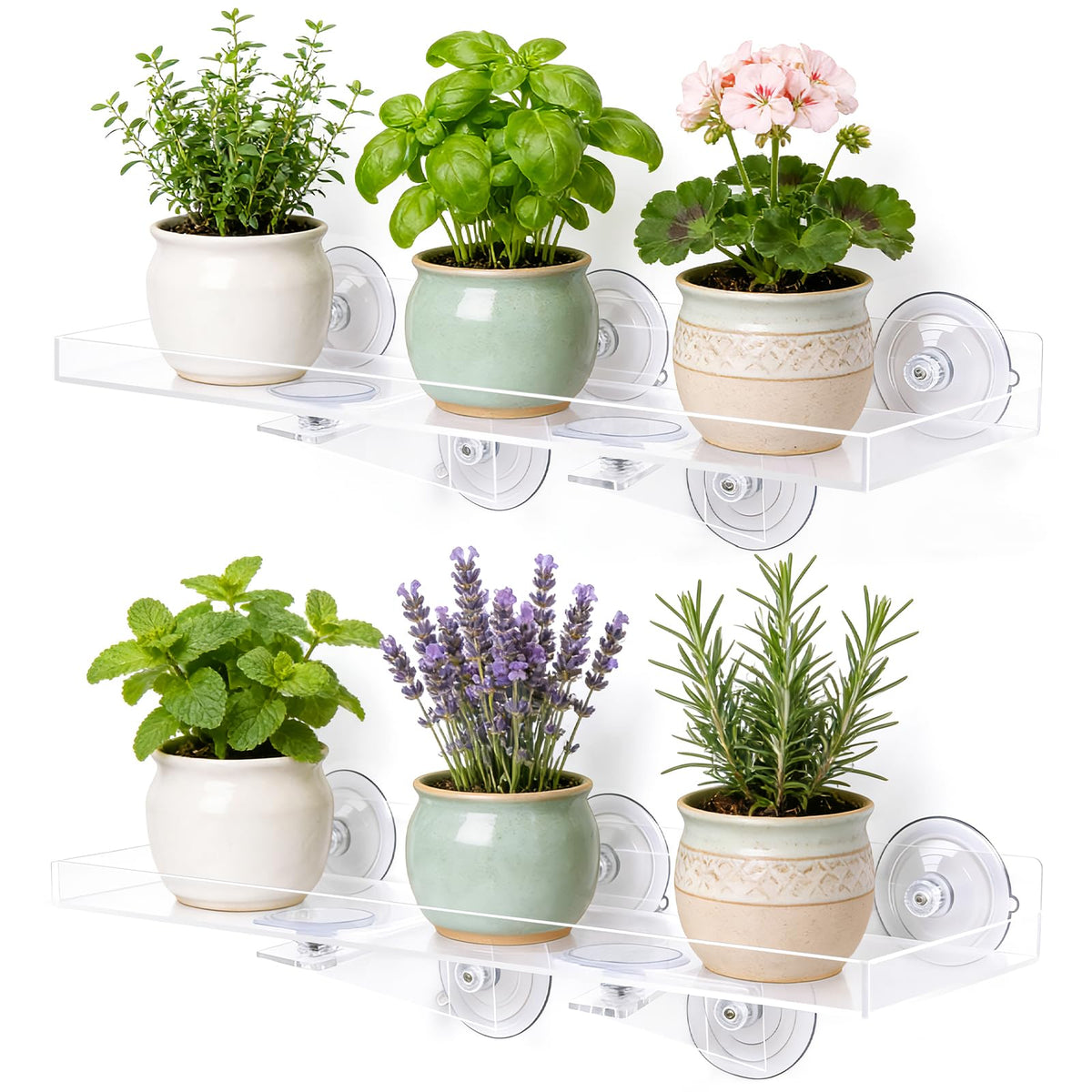 Leafory window shelf with dual suction cups securely displays plants.