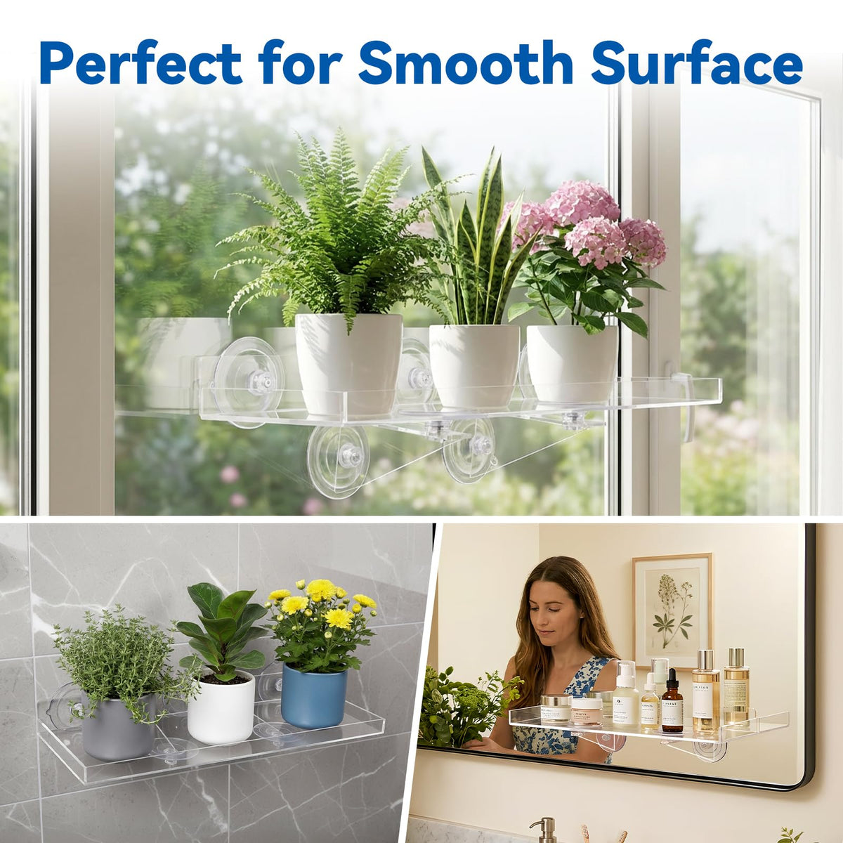 Leafory display for succulents and herbs with sunlight access.