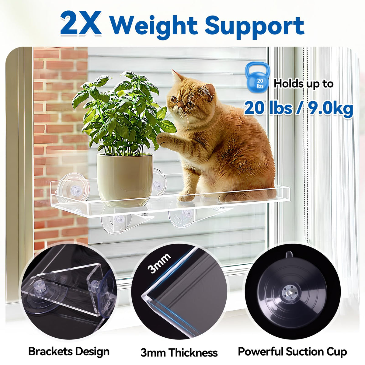 Leafory window shelf two-shelf display maximizes vertical window space.