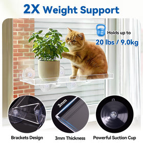 Leafory window shelf two-shelf display maximizes vertical window space.