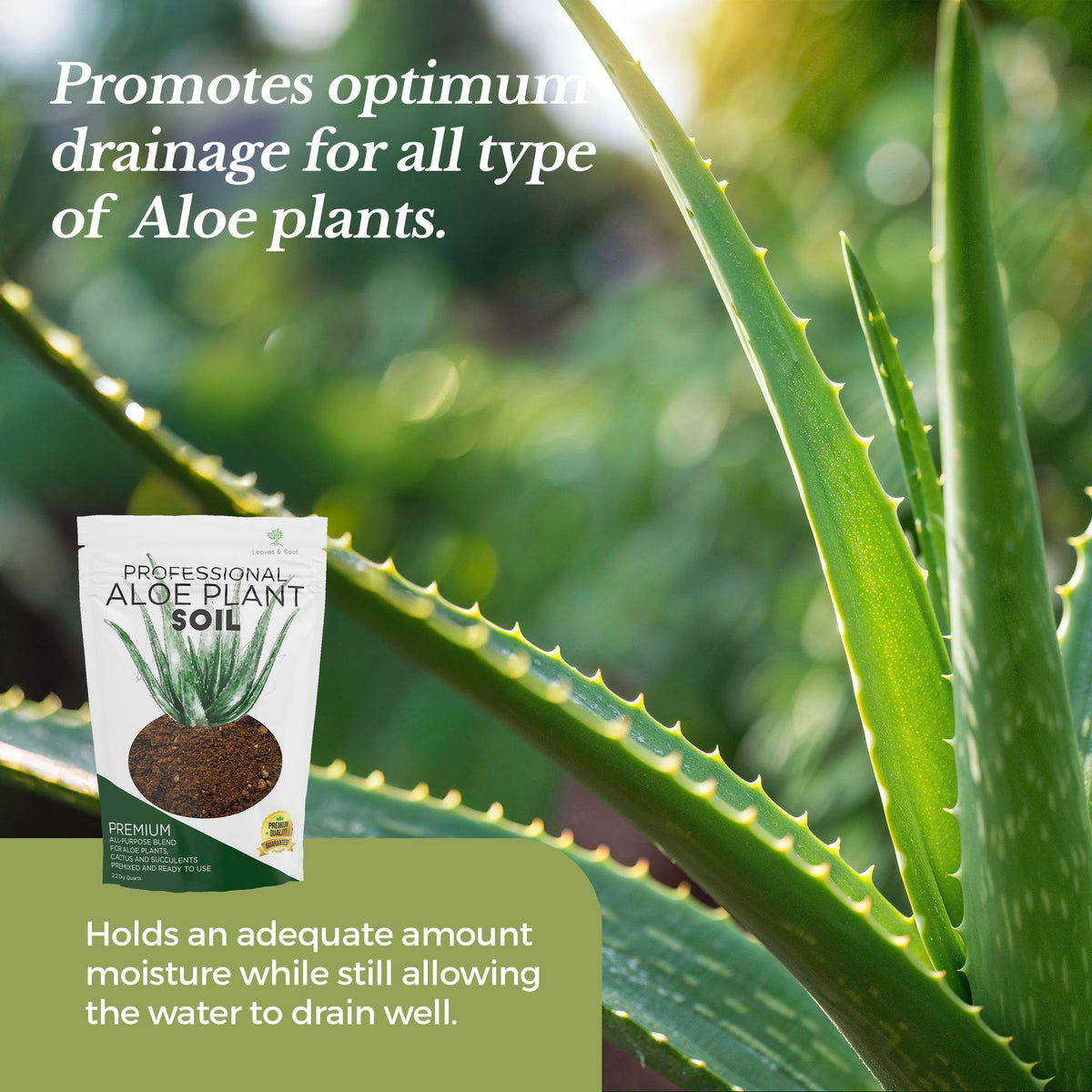 Leaves and Soul Aloe Soil Mix airflow closeup – improved oxygen delivery to roots for succulents.