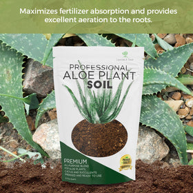 Leaves and Soul Aloe Soil Mix ingredients pinebark – supports drainage and prevents overwatering.