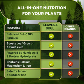 Leaves and Soul Arborvitae Fertilizer container beside shrubs promoting dense greens.