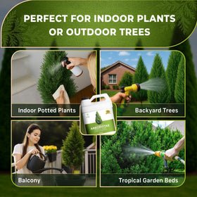 Leaves and Soul Arborvitae Fertilizer promotes dense green needles on mature trees.