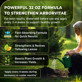Leaves and Soul Arborvitae Fertilizer root-uptake boost for potted plants.