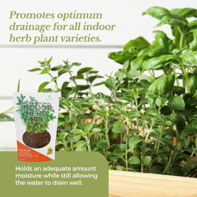 Leaves and Soul basil thriving in pot with ready-to-use soil for fresh harvests.