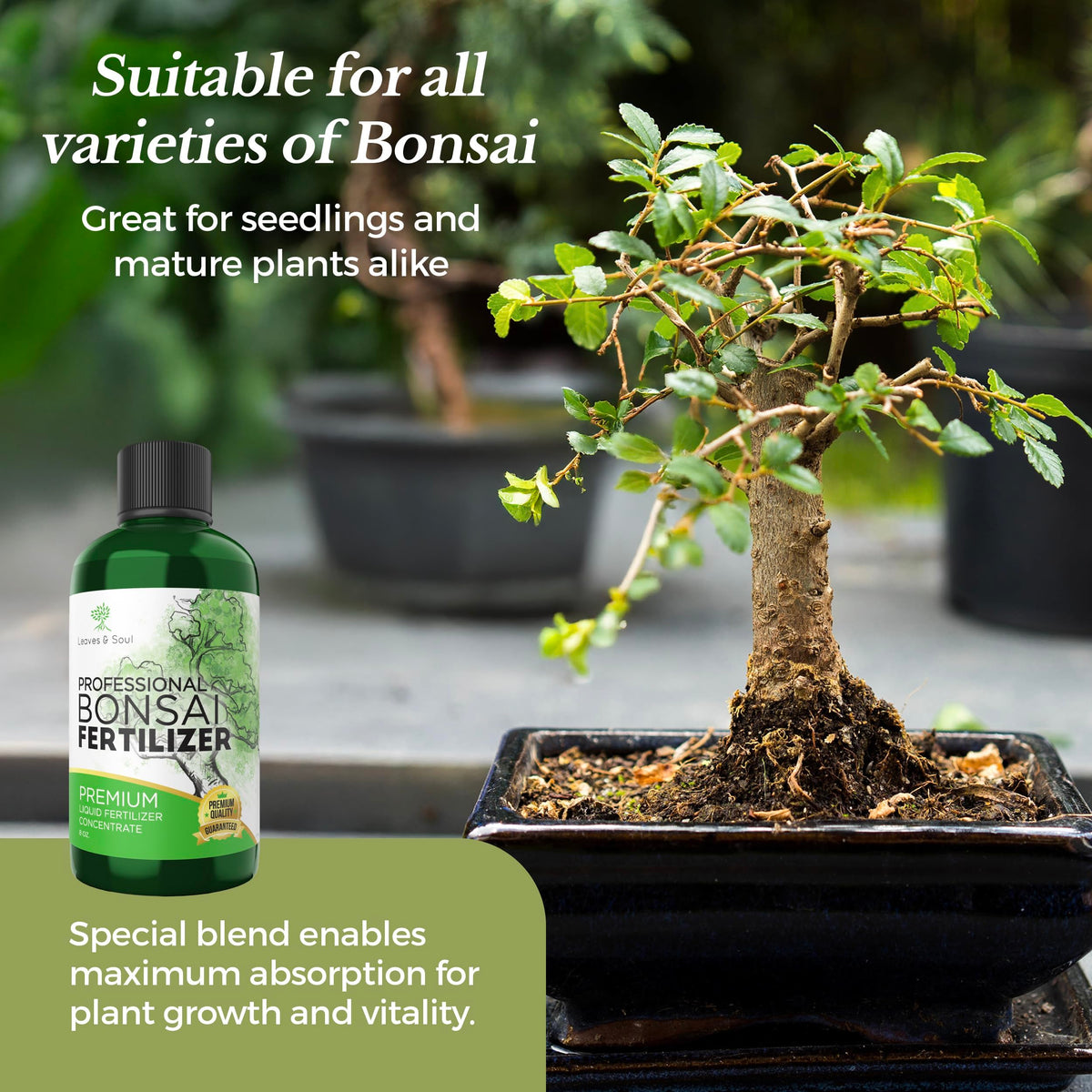 Leaves and Soul dilution mix demonstrates quick dilution for accurate bonsai feeding.