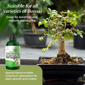 Leaves and Soul dilution mix demonstrates quick dilution for accurate bonsai feeding.