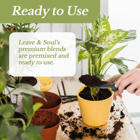 Leaves and Soul bonsai soil mix indoor-outdoor use for versatile placement.
