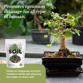 Leaves and Soul bonsai soil texture in hand highlights lightweight, workable mix