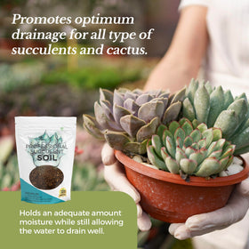 Leaves and Soul cactus soil blend supports aeration and root health in containers.