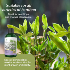 Leaves and Soul concentrate, easily diluted for simple indoor plant care.