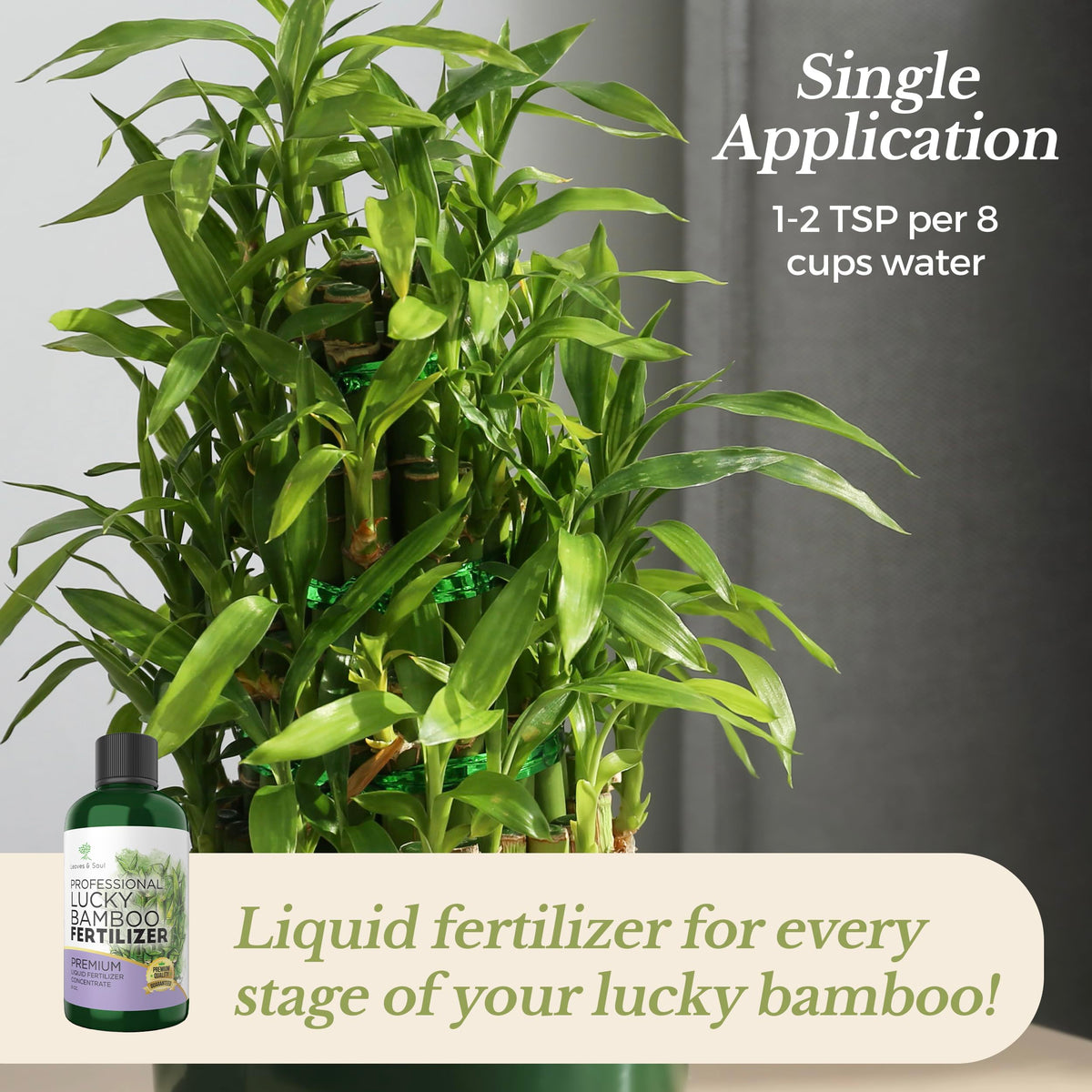 Leaves and Soul fast-absorbing liquid delivers nutrients directly to roots.