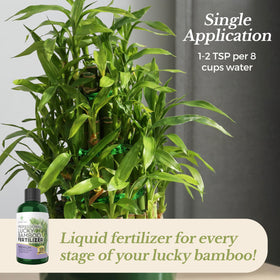 Leaves and Soul fast-absorbing liquid delivers nutrients directly to roots.