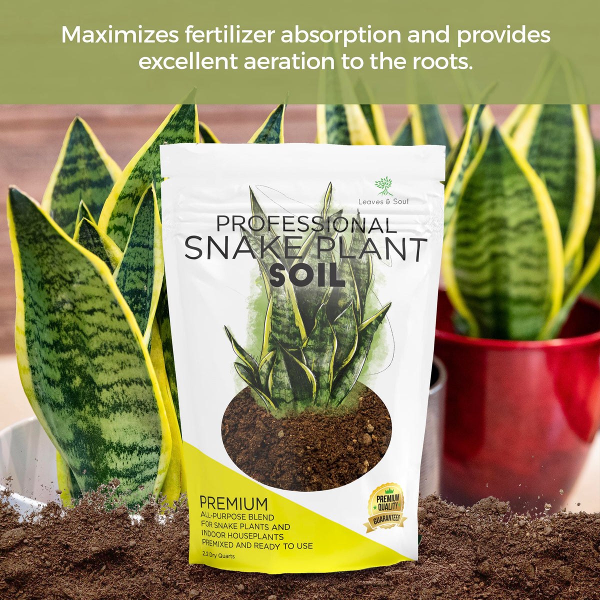 Leaves and Soul fast-draining mix texture with perlite and coco coir