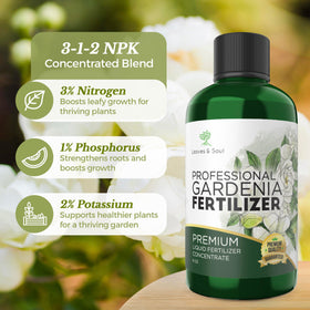 Dilution action shows Leaves and Soul Gardenia fertilizer mixing for quick uptake