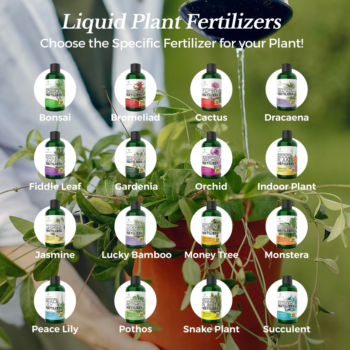 Leaves and Soul healthy green leaves benefit from premium snake plant formula