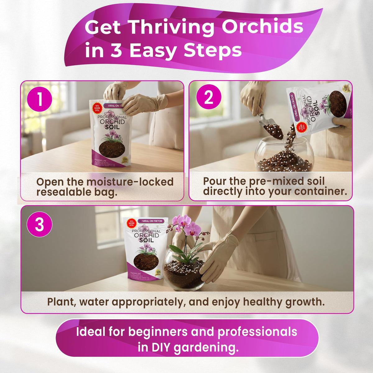 Leaves and Soul indoor garden setup with orchid in pot
