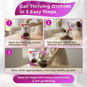 Leaves and Soul indoor garden setup with orchid in pot