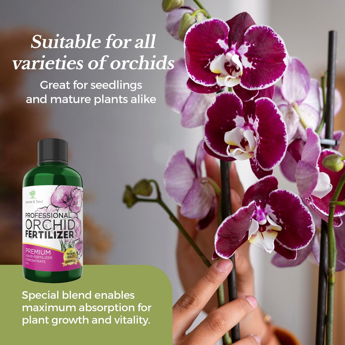 Leaves and Soul indoor orchid nutrition supports lush foliage for potted plants.