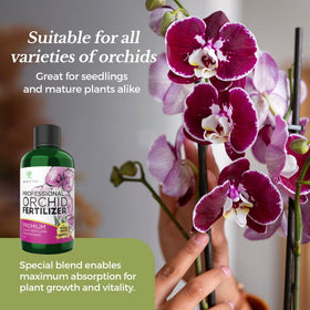 Leaves and Soul indoor orchid nutrition supports lush foliage for potted plants.