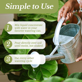 Leaves and Soul indoor plants liquid fertilizer green leaves boosts steady growth