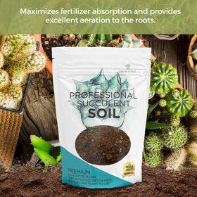 Leaves and Soul indoor succulent potting mix makes indoor gardening beginner-friendly.