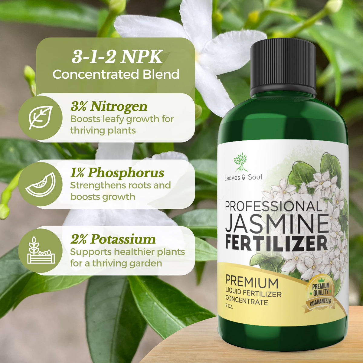 Leaves and Soul jasmine flowers close-up highlight rich blooms.