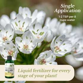 Leaves and Soul liquid formula pour delivers fast nutrient absorption.