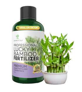 Leaves and Soul Lucky Bamboo Fertilizer bottle shown for strong roots and vibrant stalks.