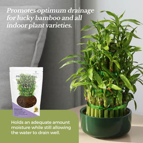Leaves and Soul Lucky Bamboo soil durable packaging keeps soil fresh