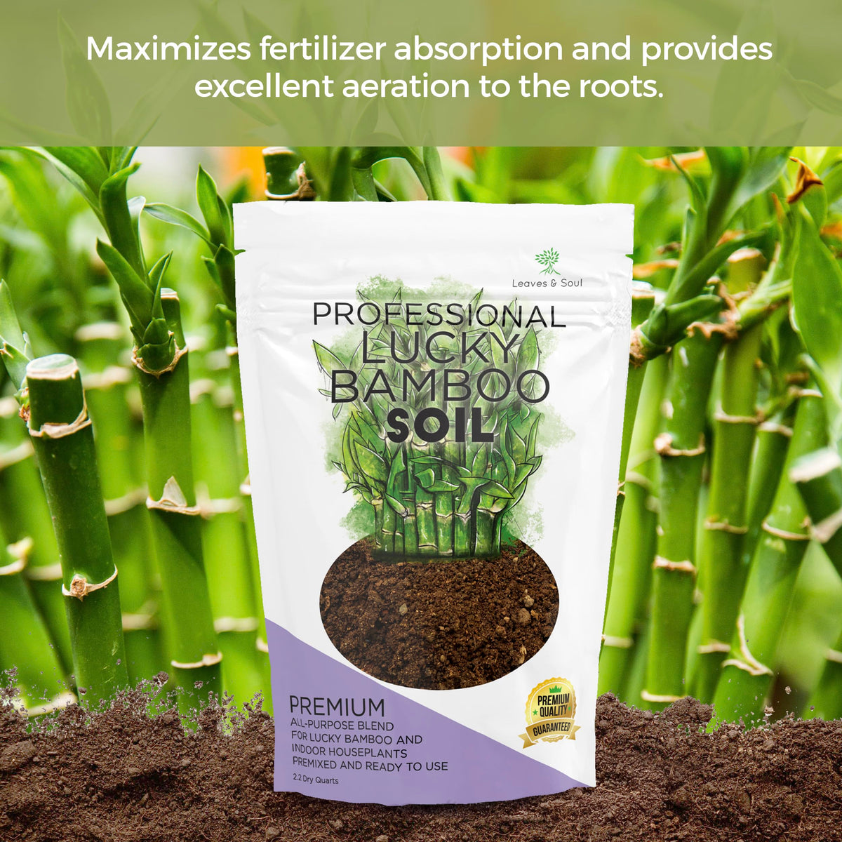 Leaves and Soul Lucky Bamboo soil with perlite and coco coir detail; improves drainage