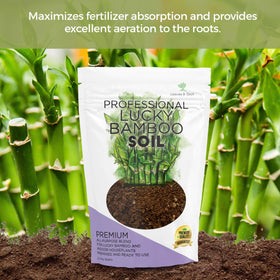 Leaves and Soul Lucky Bamboo soil with perlite and coco coir detail; improves drainage
