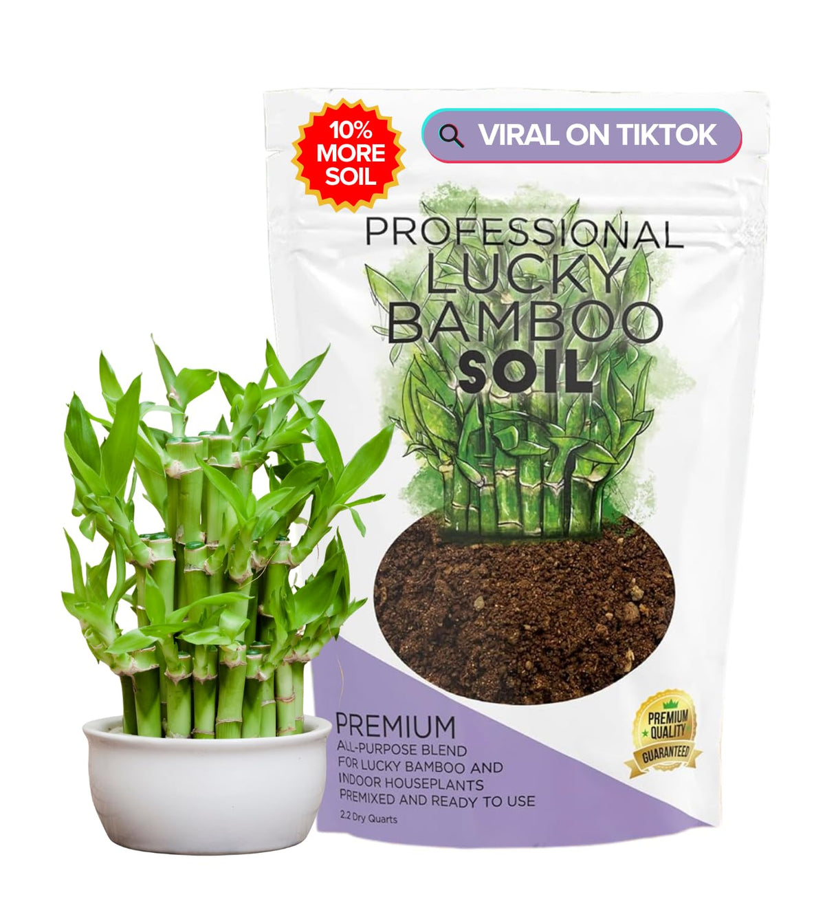 Leaves and Soul Lucky Bamboo soil ready-to-use bag; ideal for indoor plant care