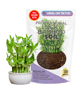 Leaves and Soul Lucky Bamboo soil ready-to-use bag; ideal for indoor plant care