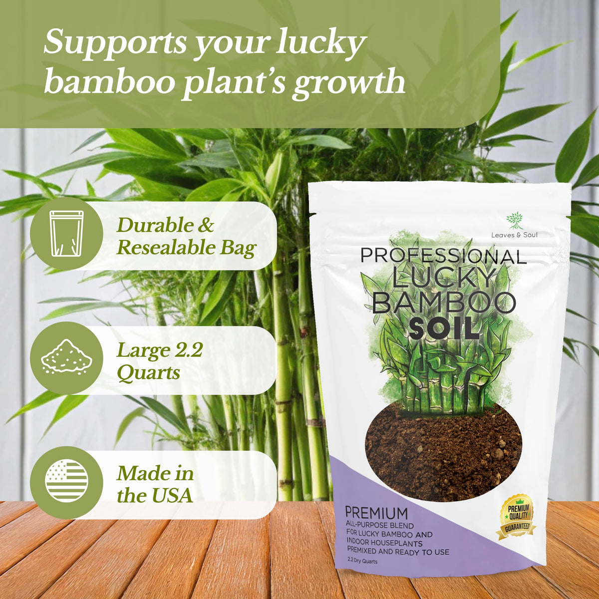 Leaves and Soul Lucky Bamboo soil stem growth close-up; supports healthy root development