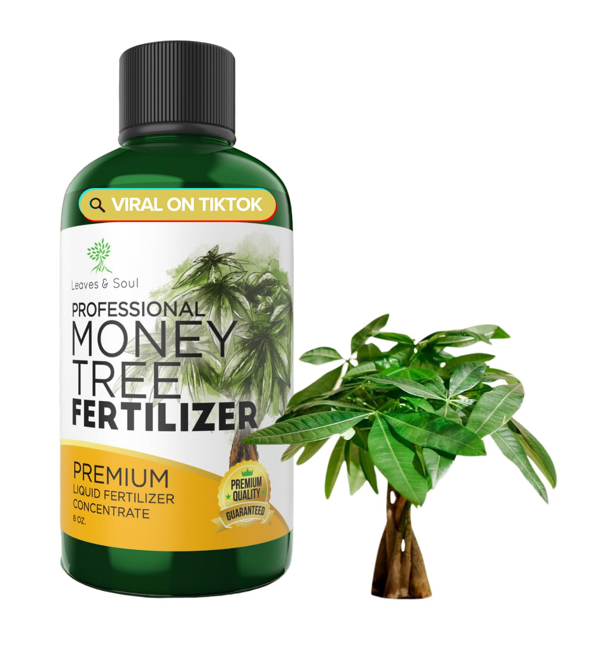 Leaves and Soul Money Tree Fertilizer bottle for indoor plant nutrition and easy use