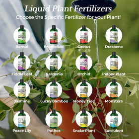 USA-made Leaves and Soul fertilizer bottle ensuring quality and reliability