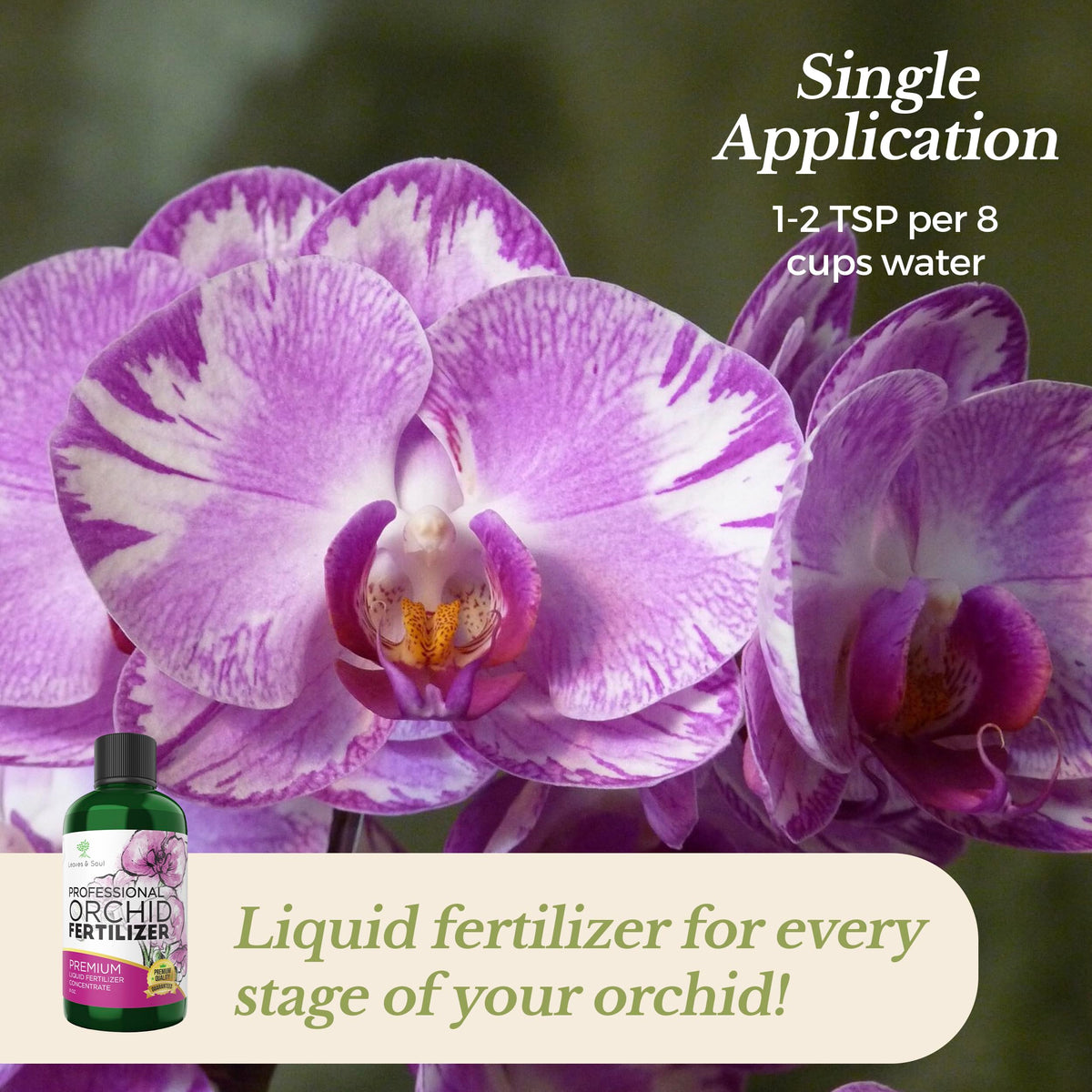 Leaves and Soul orchid bottle pour showing quick nutrient absorption for healthy orchids.