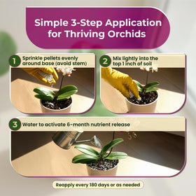 Leaves and Soul orchid fertilizer pellets shown 6-month release packaging supports long-term orchid feeding