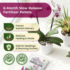 Leaves and Soul orchid fertilizer pellets beside seedlings for early growth support