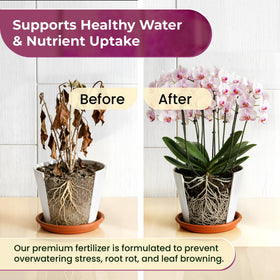 Leaves and Soul USA-made packaging conveys trusted, professional orchid nutrition