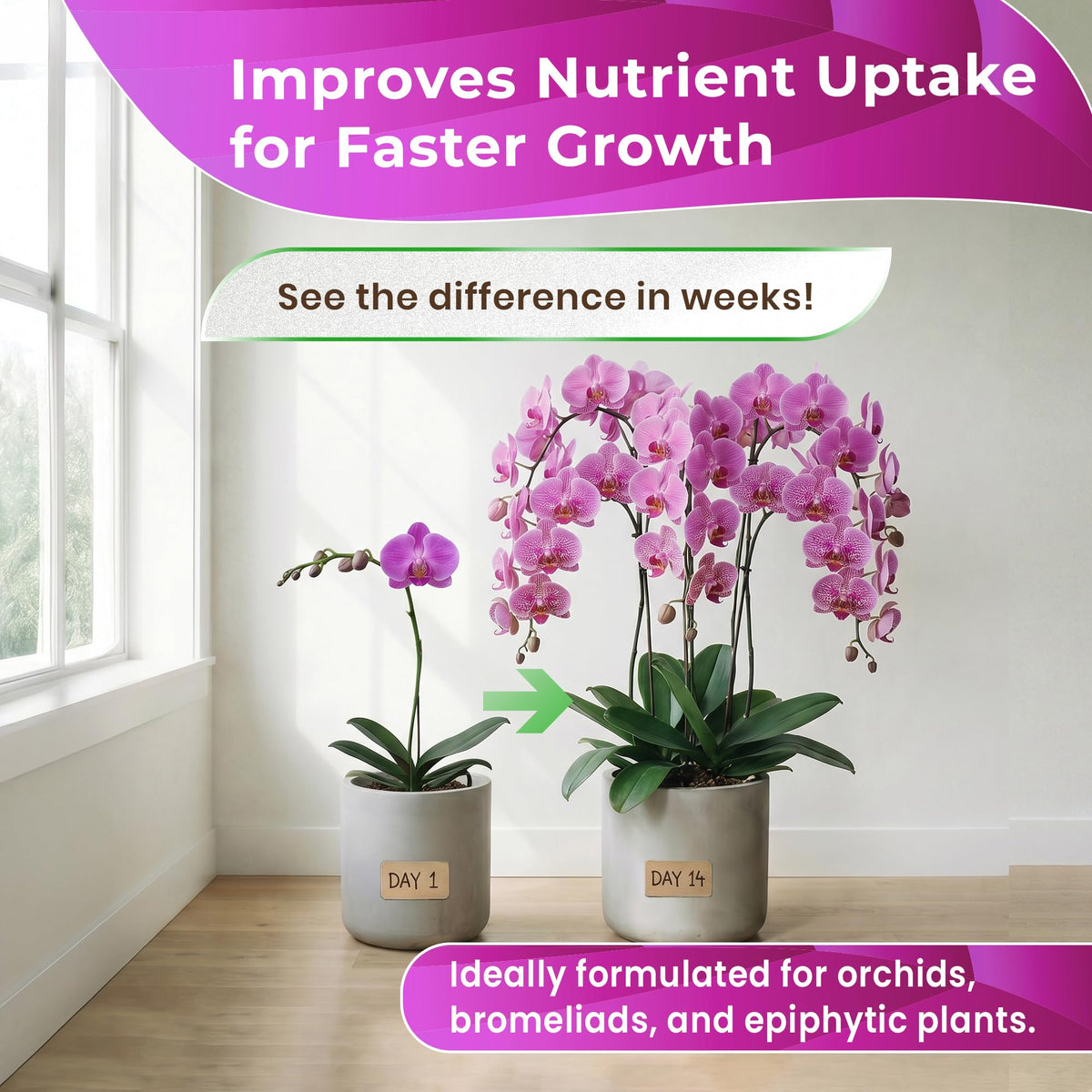 Leaves and Soul orchid soil mix calcined clay detail for moisture balance