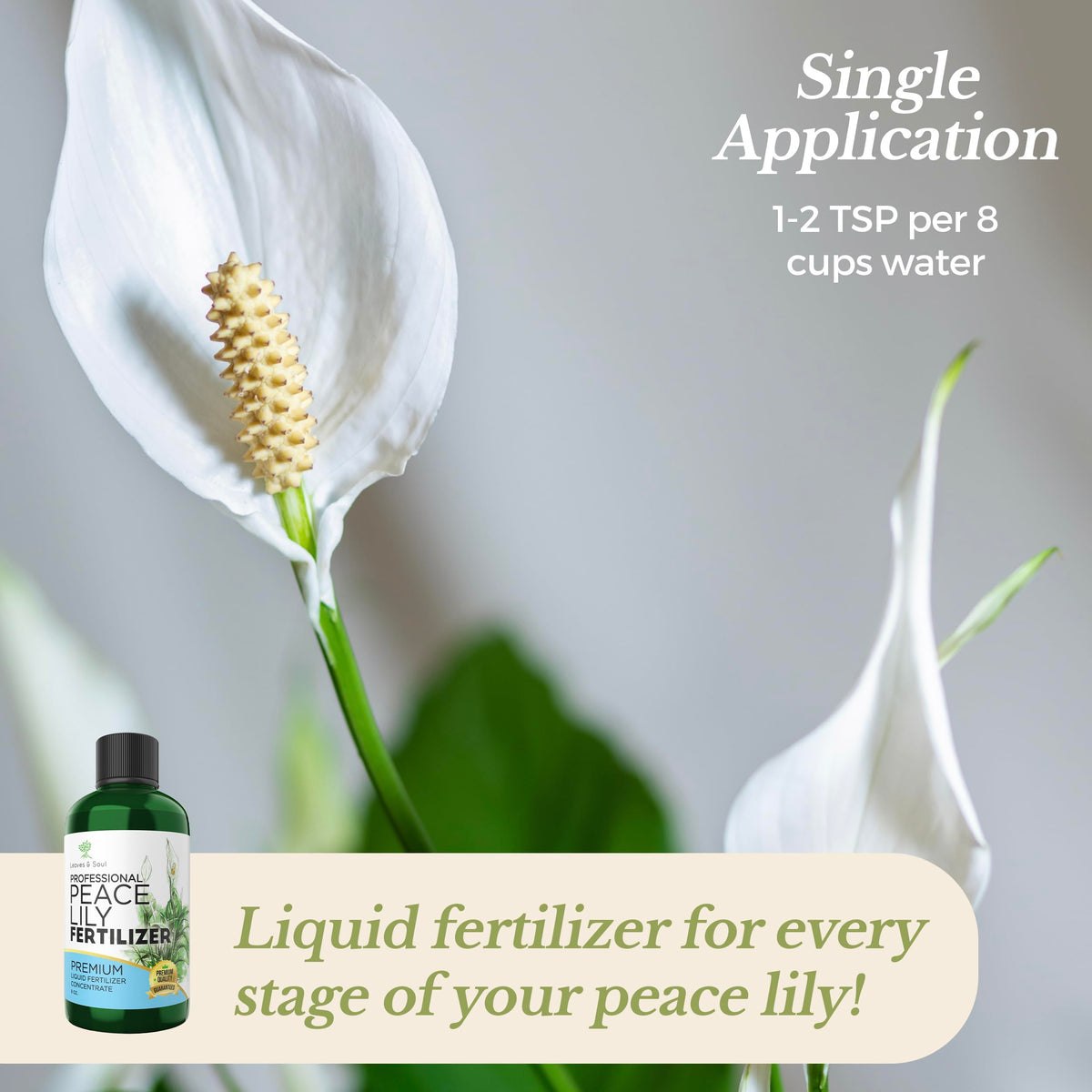 Leaves and Soul peace lily plant food dilution setup implies easy feeding routine.