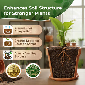 Leaves and Soul peat moss with seedlings setup illustrates uniform moisture retention for young plants.