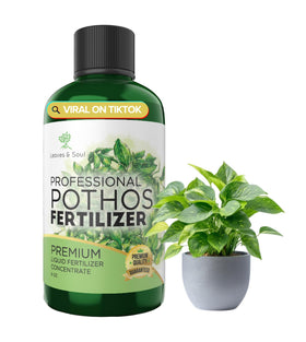Leaves and Soul pothos fertilizer bottle showing 8 oz for lush growth.