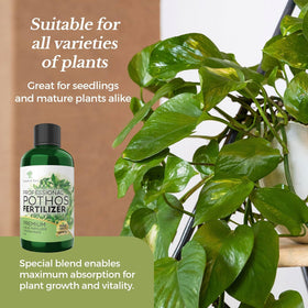 Leaves and Soul liquid formulation bottle highlights fast nutrient uptake.