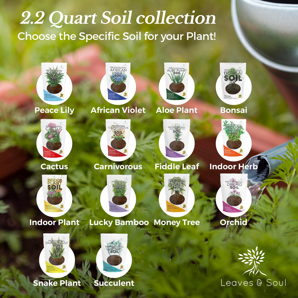 Leaves and Soul root-friendly succulent blend supports various succulents indoors.